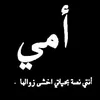 user79691490834808