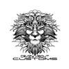 crazyaboutcustoms