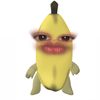 annslvia