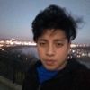 brave_lion8