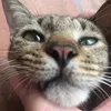coaydatungnoiyeu_