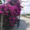 hangtymuoi