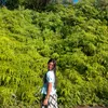 chiesmiss_shop