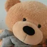 lephong075