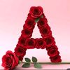 tariq_1306