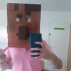 chien2la_casse