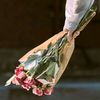 jyroses