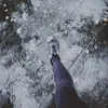 vyjs2