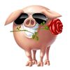 rishv_v