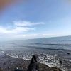 ndinevenan_
