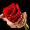 user480986491145