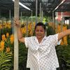 nandauntilitisfragrant