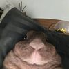 zix_890
