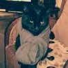 muguettelegoff