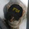 fbi_cat64