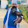 jatinderdeepsin49