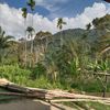 supardi_watie0104
