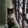 anie_choy
