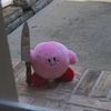 mr.whatthef