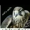 hanialalwani0