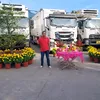 thch.tn.t.st
