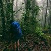 fredy_rudianto