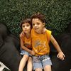 alichippa6