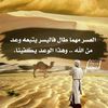 samershaar6