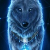 darkwolf_p