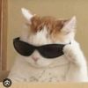 n0ty0ur_type