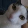 sebas_01024