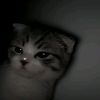 kyy4ter