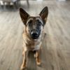 jdog0408