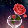 mireya.gonzalez002