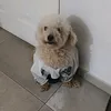 apolosantuchcasamayor1