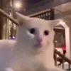 iancylubsy