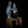 reshboii8