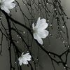 k_amy05