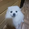 narfel_
