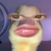 ni.nhiu32