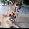 tvinhdepz0