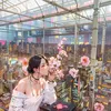 lalalife1719