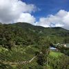 selamatpagi034
