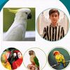 naveedbirdsaviary