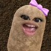 21.danganan