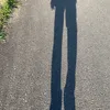 bonghoadepnhatt