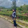 nenyherlinaa