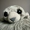sammythesillyseal
