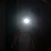 esalarmando