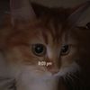 m_abou_atieh_1